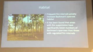 Sustainable Management of the Bachman's Sparrow