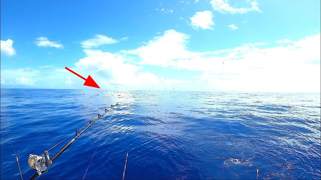 INSANE CLEAR WATER Tuna Fishing in Hawaii