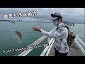 Ajing fishing in auckland city