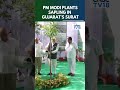 WATCH: PM Modi Plants Sapling In Surat To Mark World Environment Day | N18S