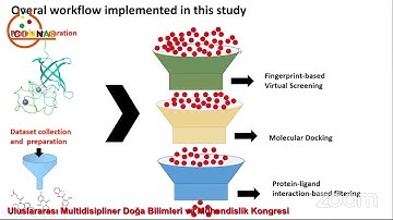 BERİN KARAMAN MAYACK  A Multi step Virtual Screening For the Discovery of Novel Small Molecule Inhib