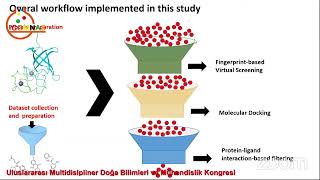 BERİN KARAMAN MAYACK  A Multi step Virtual Screening For the Discovery of Novel Small Molecule Inhib