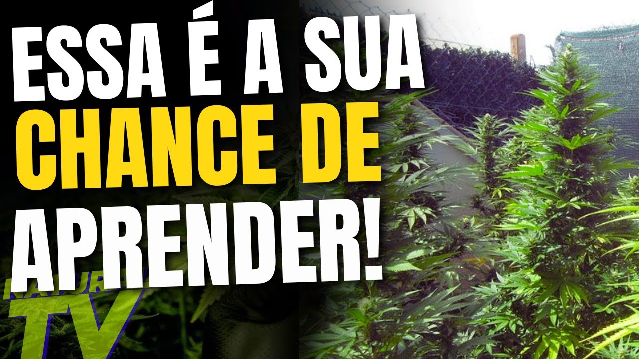 OUTDOOR de forma SIMPLES e FUNCIONAL