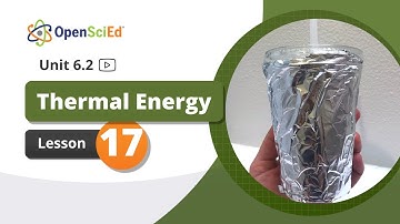 Unit 6.2 Lesson 17 Planning Video | OpenSciEd On-Demand Resources