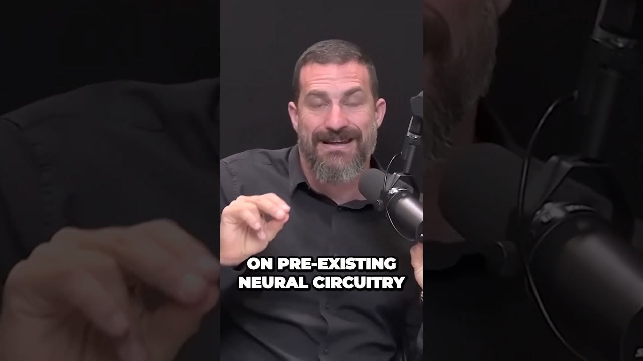 🍁Unleashing the Power of Sativa Thrills and Potential Anxiety🍁