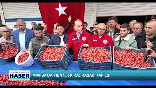 Manisa'da yılın ilk kiraz hasadı yapıldı