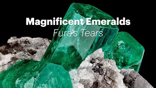 Wilensky Exquisite Minerals - Magnificent Emeralds: Fura's Tears