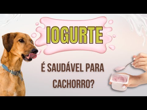 Vídeo: Qual é o tamanho da maior caixa de cachorro?