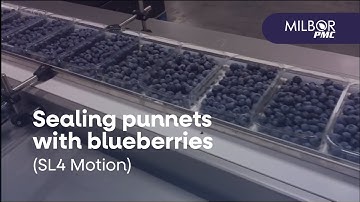 SL4Motion sealing punnets with blueberries | Milbor PMC