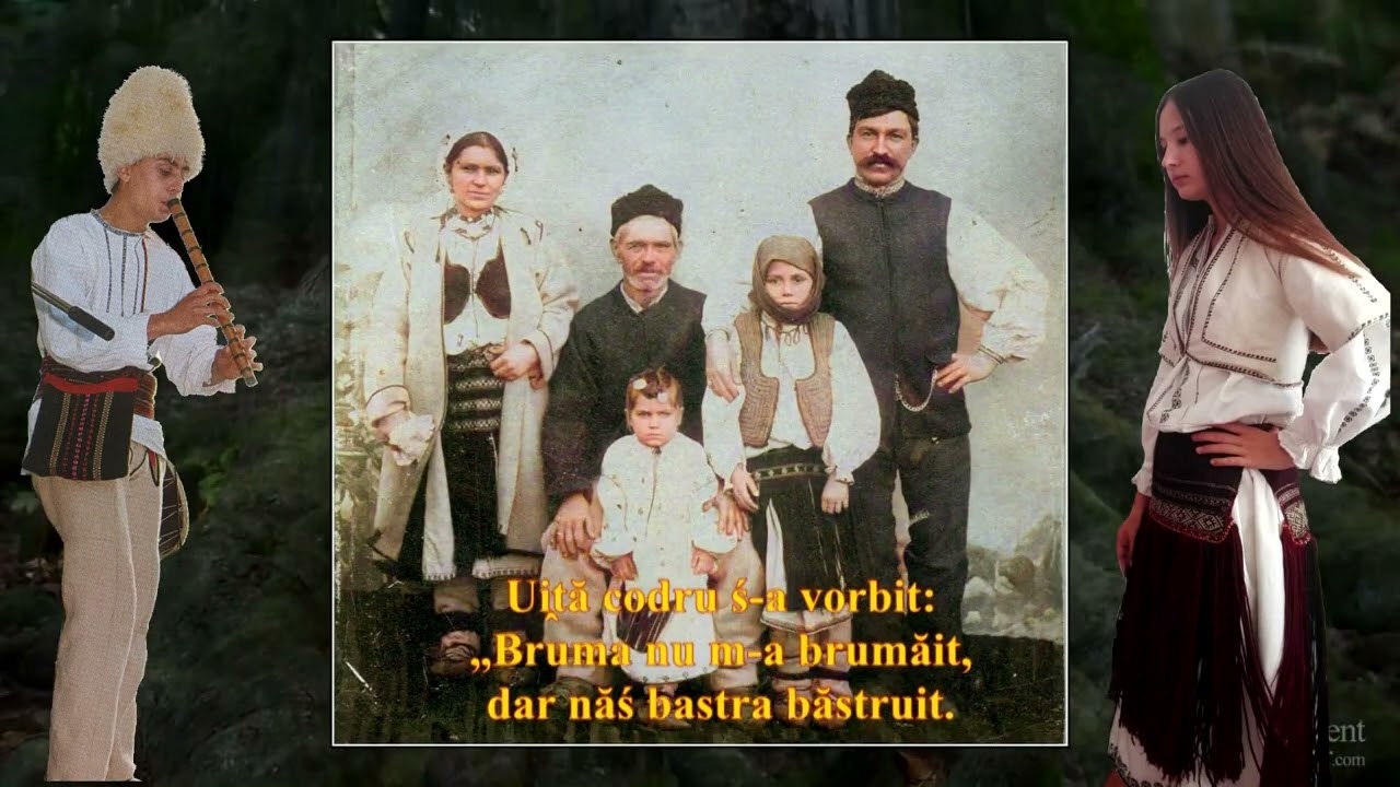 Śe će ļeaźiń codruļe – Branka Trailović