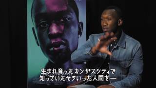 関連動画