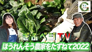 ぎふベジTV 『ほうれんそう農家をたずねて2022 』