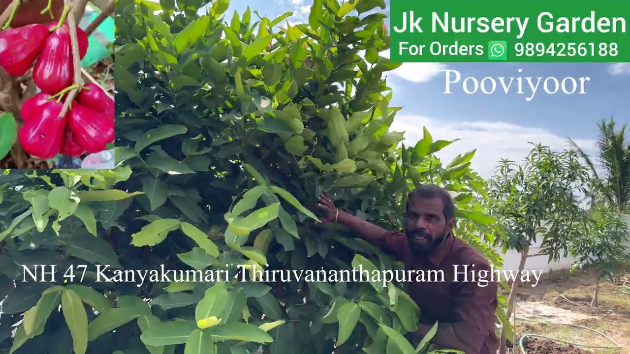 நாங்கள் அமைத்து கொடுத்த பழத்தோட்டம் எப்படி இருக்கிறது என்பதை சொல்லுங்கள் 