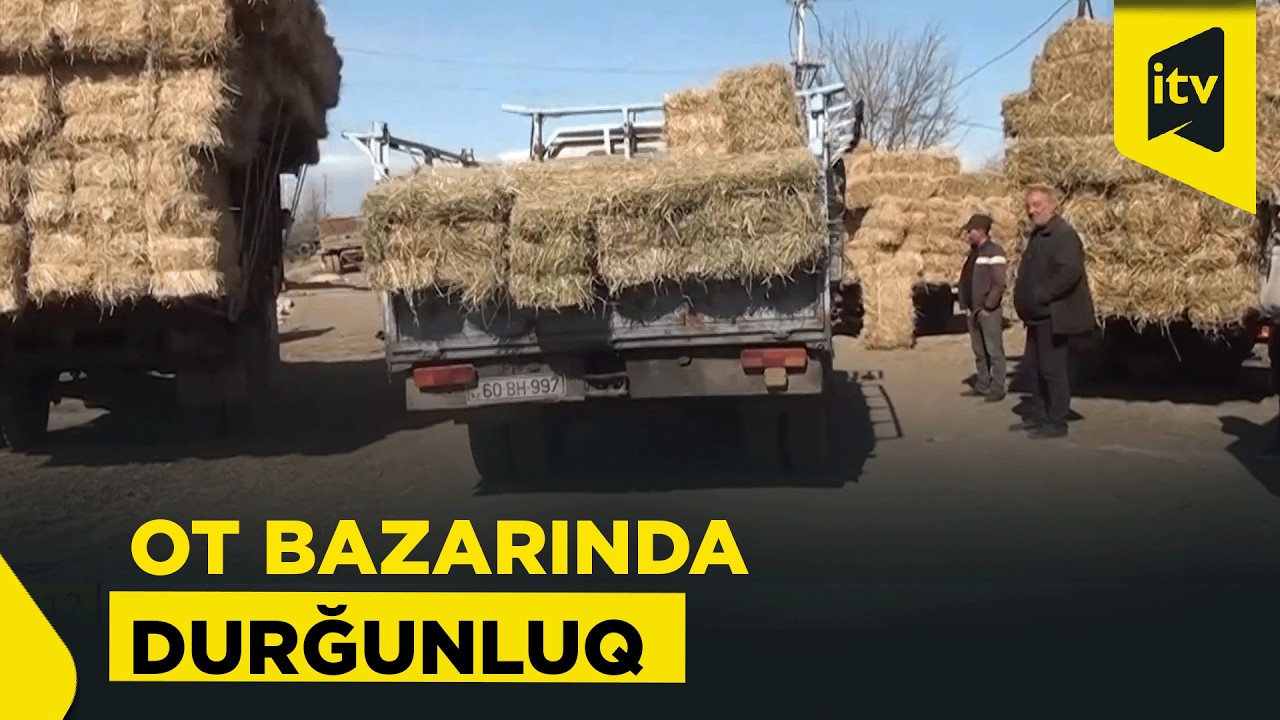Ot bazarında durğunluq: satıcılar günlərlə alıcıları gözləyirlər