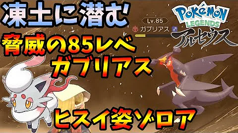 アルセウス85レベのガブリアスを簡単に倒す方法