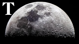 LIVE: NASA set for historic Moon landing