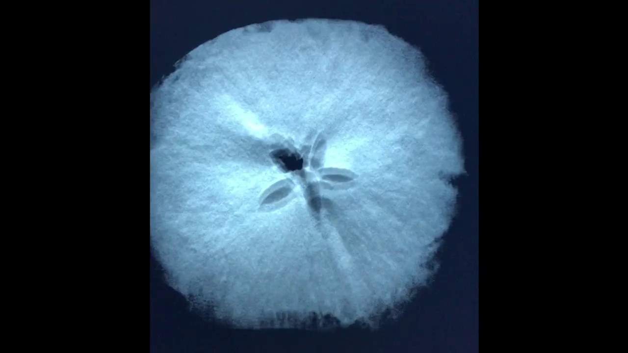 3D Mammogram of an Apple - YouTube