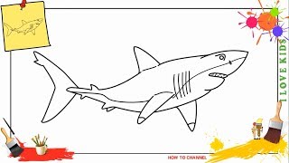 shark draw easy drawing step beginners children clipart listen cartoon cool