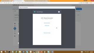 Oracle API Platform Cloud Services - API Management part 2. API Documentation