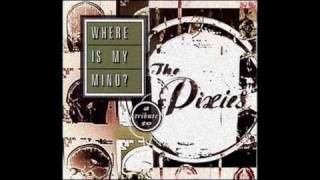 Nada Surf - Where Is My Mind ? chords