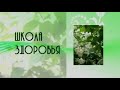 Здоровье. Не навреди: стоит ли уповать на метод Шевченко?