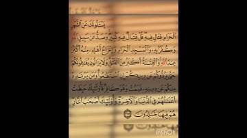سوره البقره عدد آياتها ٢٨٦ آيه (سوره مدنيه ) الآيه ٢١٧