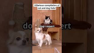 Hilarious compilation of cat and dog fails#FunnyPets #CatFails#DogFails #PetComedy #YouTubeShorts
