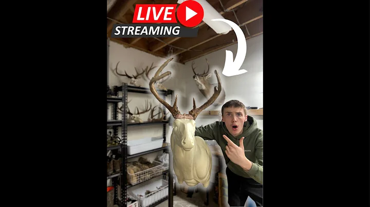 MBAOutdoors is LIVE Mounting a GNARLY Giant WhiteTail and other Taxidermy Nonsense!