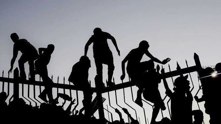 2 - فكرة وجمعتنا .. CD ULTRAS AHLAWY 2013