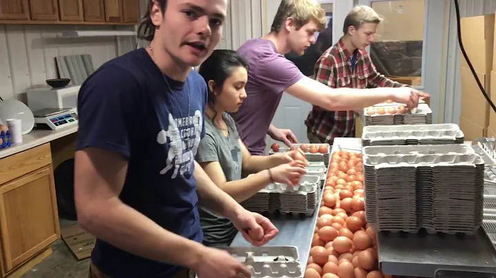 How We Clean 5,000 Eggs per Hour