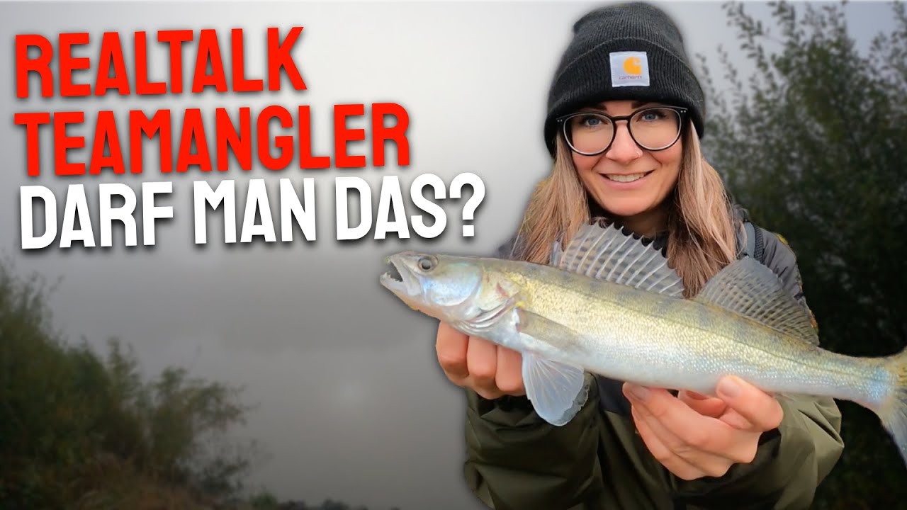 - Darf man DAS ? - Zanderangeln mit Gummifisch - Zanderangeln im Kanal -  mehrere Livebisse