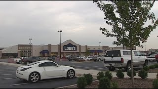 Lowes beetles