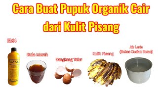 Cara Buat Pupuk Organik Cair Dari Kulit Pisang  Agar Tanaman Tumbuh Subur Dan Cepat Berbuah
