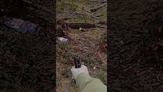 PPK Mag Dump