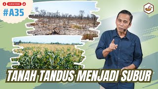 Download Lagu Mengolah Tanah Tandus Menjadi Subur MP3 Download Lagu Mengolah Tanah Tandus Menjadi Subur MP3