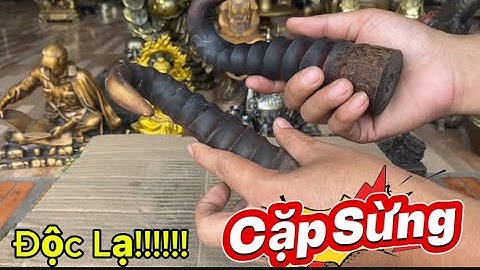 Sừng độc lạ _ Lư đồng xưa _ Tượng Bác Hồ Bằng Đồng #độclạcầnthơ #doco 