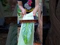 Turning a Plant into Rope is Oddly Satisfying 🌿🤯
