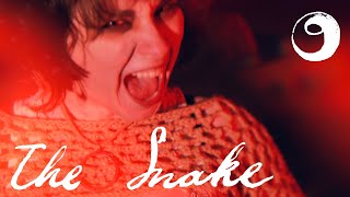 Ok Goodnight - "The Snake" Music Video