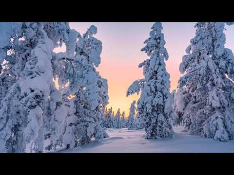 Chopin melody nature winter forest  Russia