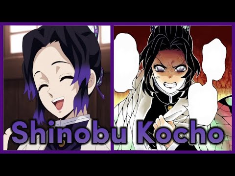 Shinobu Kocho: Historia y Curiosidades (Kimetsu no yaiba) - YouTube