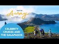 Celebrity Cruises Galapagos Cruise – Take Me Away: A Virtual Vacation Experience