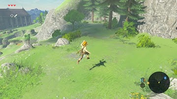 Zelda BotW - Cemu 1.7.5 - 20-30 fps