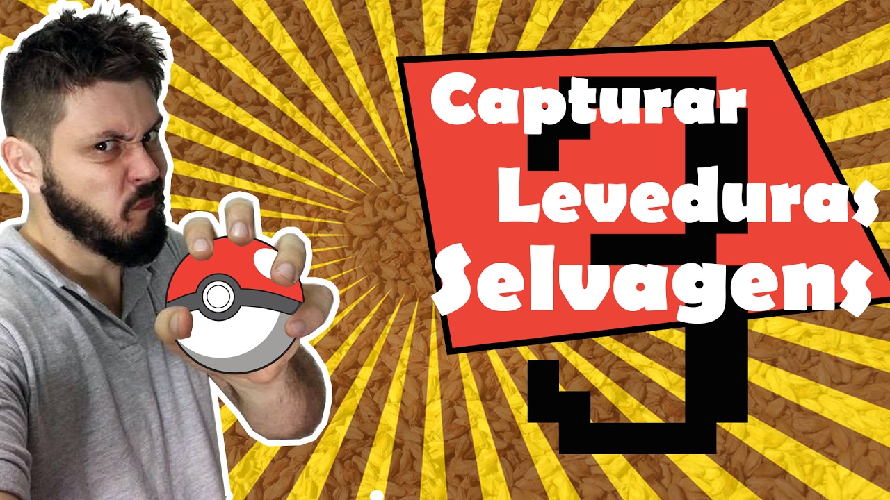 Como Capturar suas próprias LEVEDURAS para cerveja artesanal Parte 3 - Identificação - YouTube