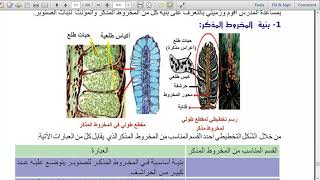 تاسع سوري علوم النبات والبيئة