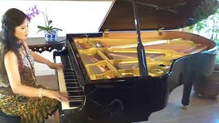 Belle - Notre-Dame de Paris - piano covered and played by Lisa Park. (music from Richard Cocciante)
