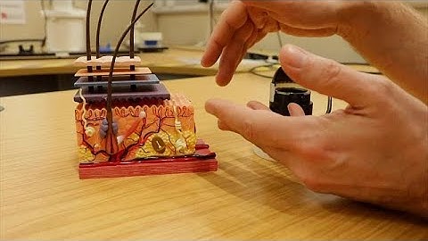 Artificial fingertip with ‘human-like’ sense of touch could improve robots and prosthetics