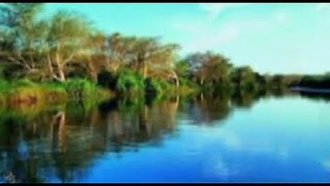 سورة المسد بصوت وديع اليمني