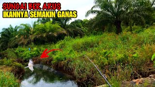 JANGAN COBA KESINI KALO MASIH MAU PULANG !!! SUNGAI BER ARUS IKANNYA JAUH LEBIH GANAS DINAMIN BETAH screenshot 5