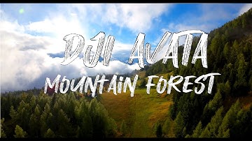 DJI AVATA Mountain Forest 4K with motion controller, no color grading