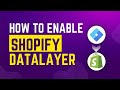 How to enable Data Layer in Shopify Website 2024 | Shopify Data layer in Google Tag Manager 2024